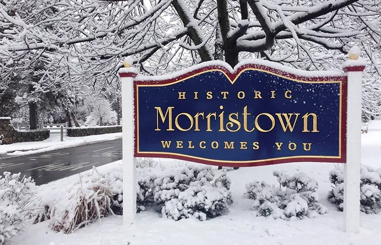 Christmas light installation in Worcester, MA